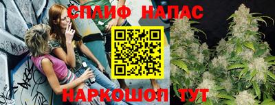 2c-b Камышлов