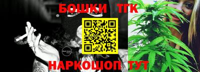стафф Кандалакша