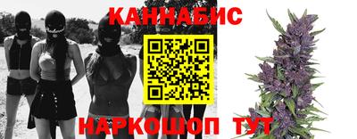 2c-b Камышлов