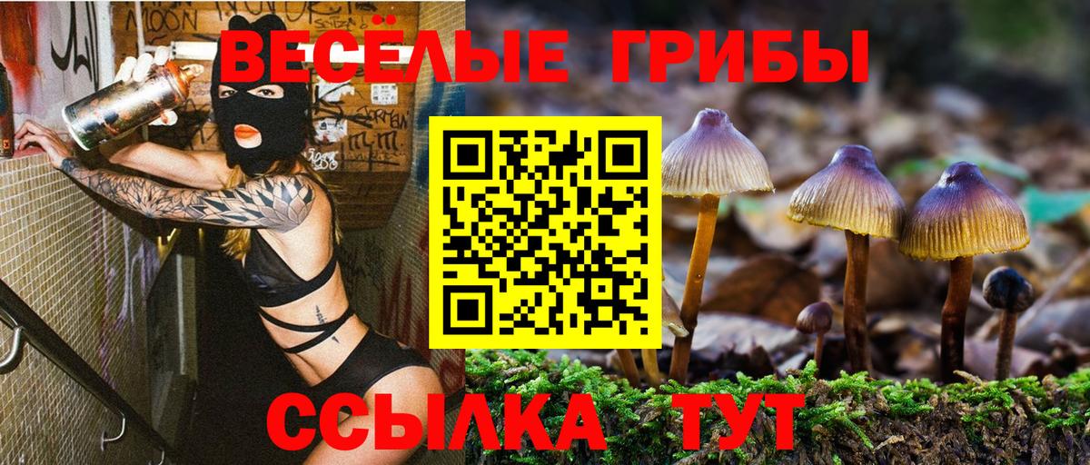 Елец  Галлюциногенные грибы Psilocybine cubensis  Вход с VPN  Галлюциногенные грибы Psilocybe 