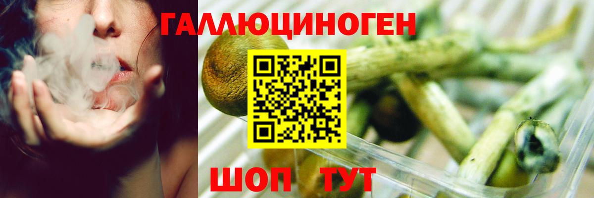 Галлюциногенные грибы Magic Shrooms Елец